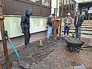 Fasort ültettünk az iskola elé (2025.11.21.)